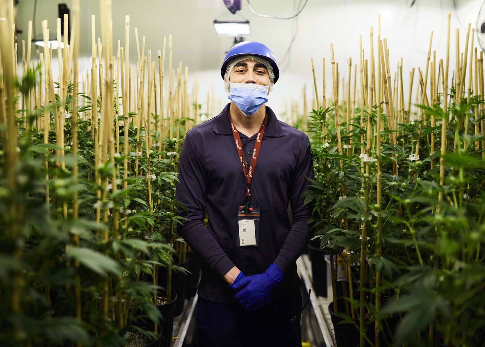 cannabis-company-employee-standing-in-grow-room-1