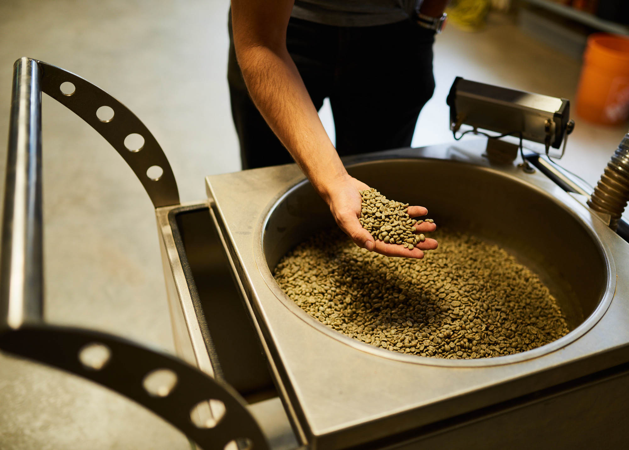hand-holding-and-sorting-coffee-beans